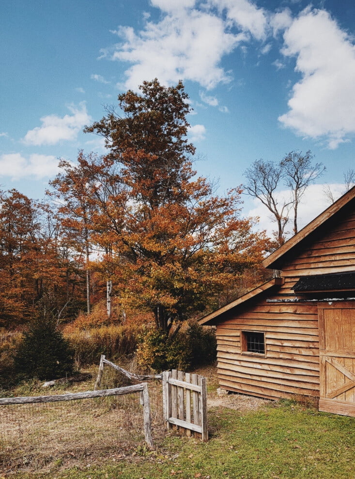 yi-mei-truxes-catskills-cabin-exterior-733x989-1